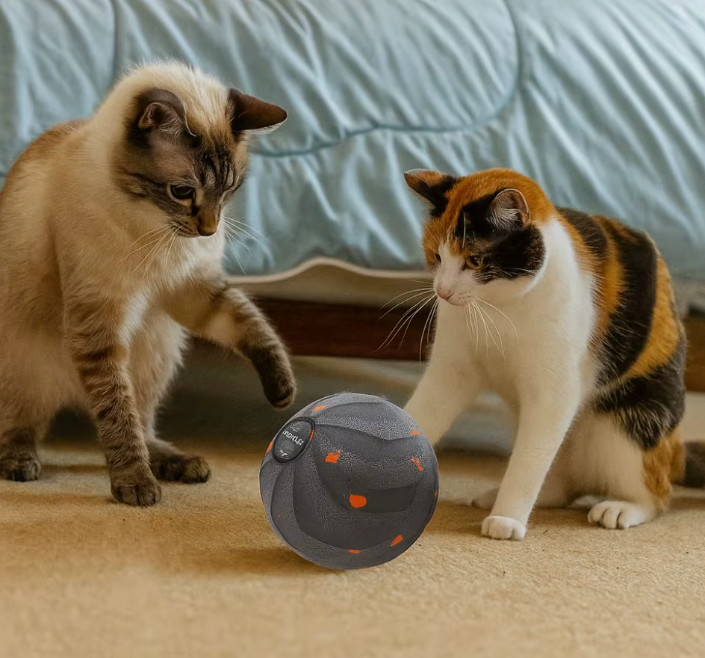 Jumpy - Pallina rimbalzante